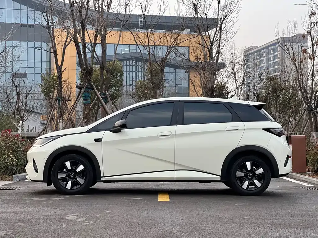 BYD Dolphin 2025 из CN, фото 4