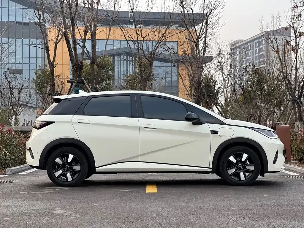 BYD Dolphin 2025 из CN, фото 3