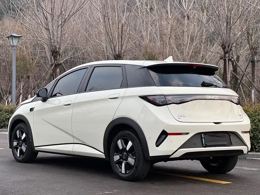 BYD Dolphin 2025 из CN, фото 10
