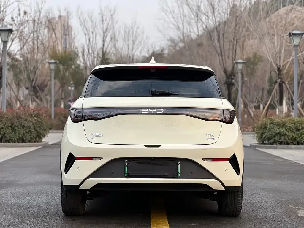 BYD Dolphin 2025 из CN, фото 7