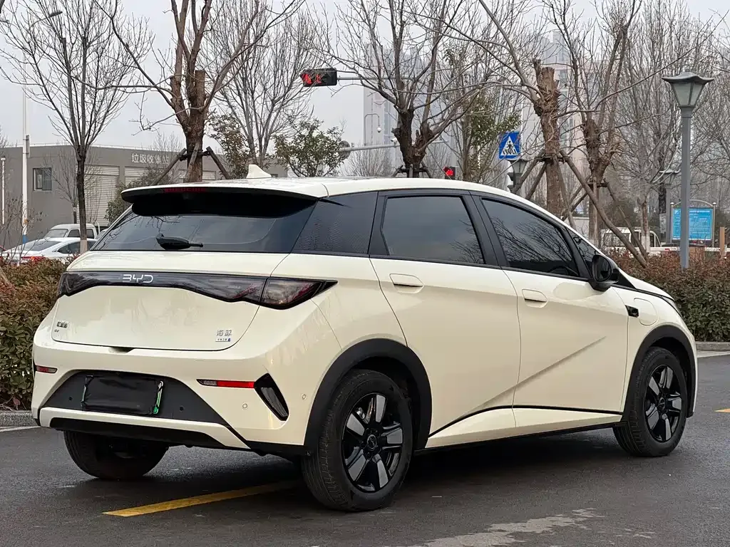 BYD Dolphin 2025 из CN, фото 5