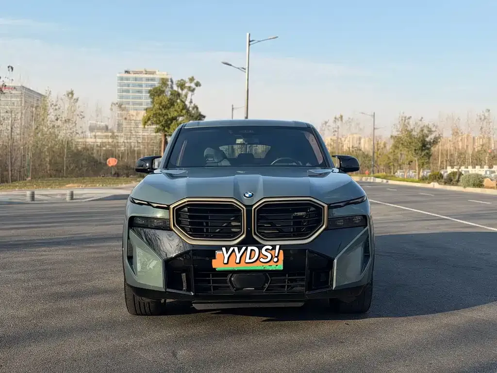 BMW XM 2023 из CN, фото 5