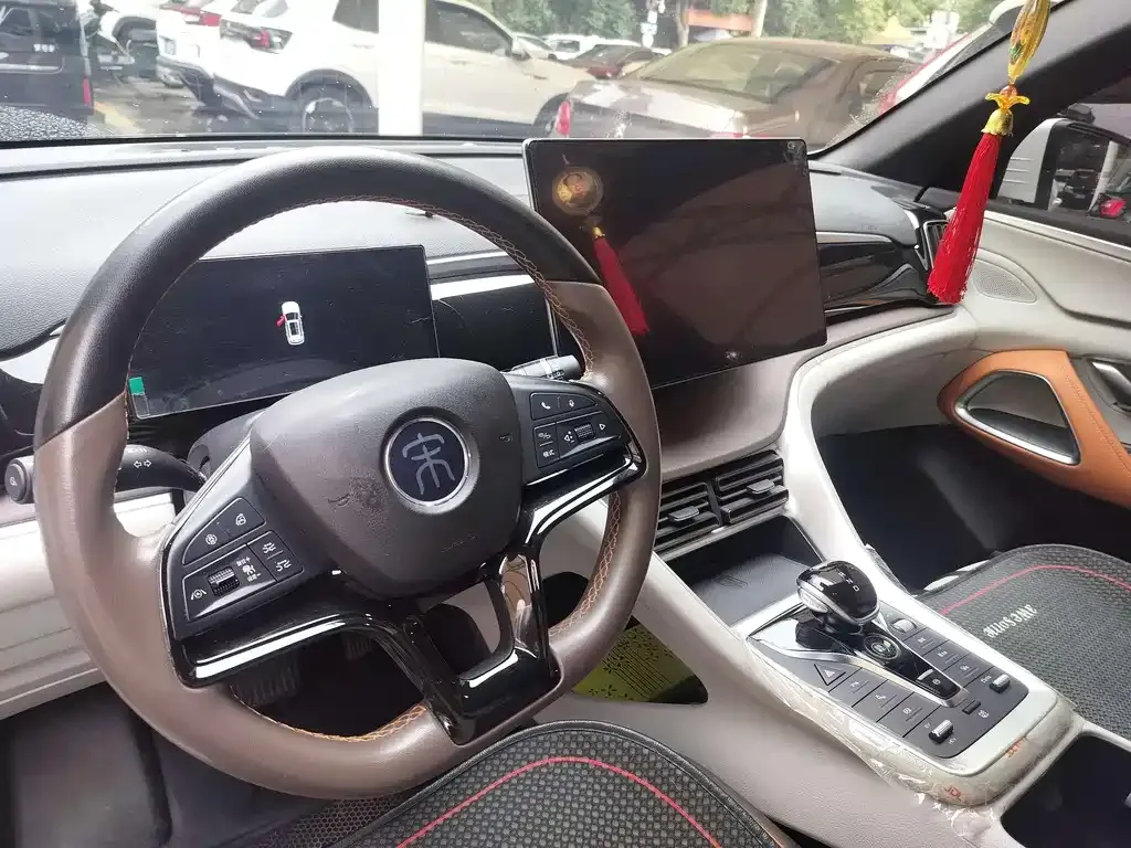 BYD Pro New Energy 2023 из CN, фото 10