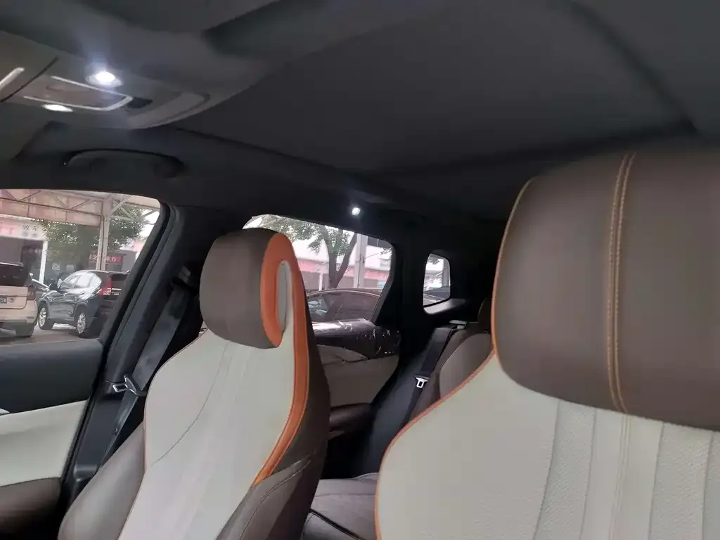 BYD Pro New Energy 2023 из CN, фото 3