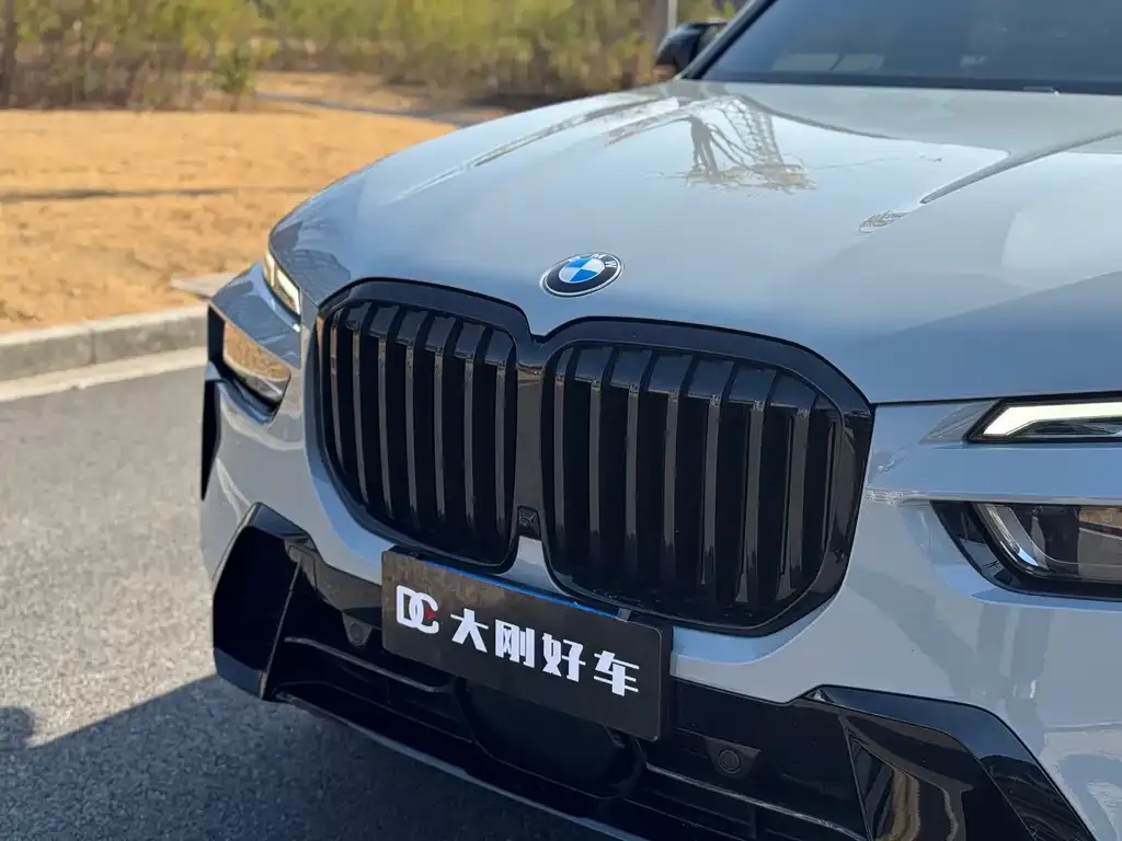 BMW X7 2023 из CN, фото 4