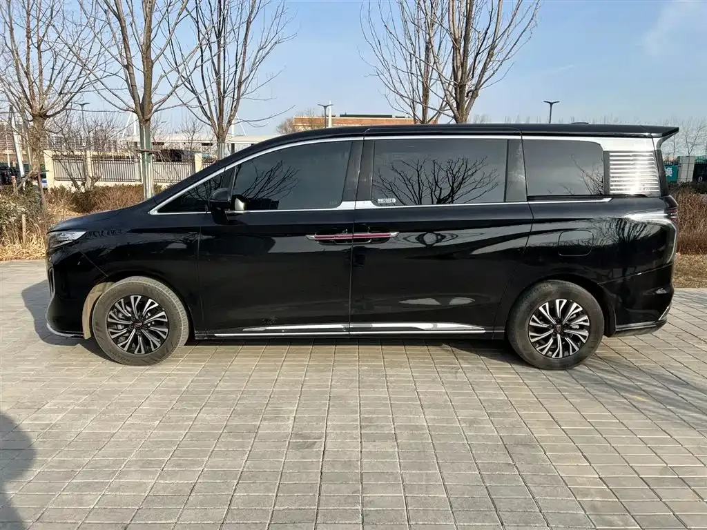 Hongqi HQ9 PHEV — фото 8
