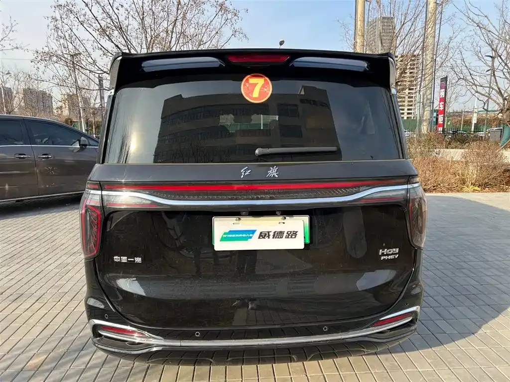 Hongqi HQ9 PHEV — фото 6
