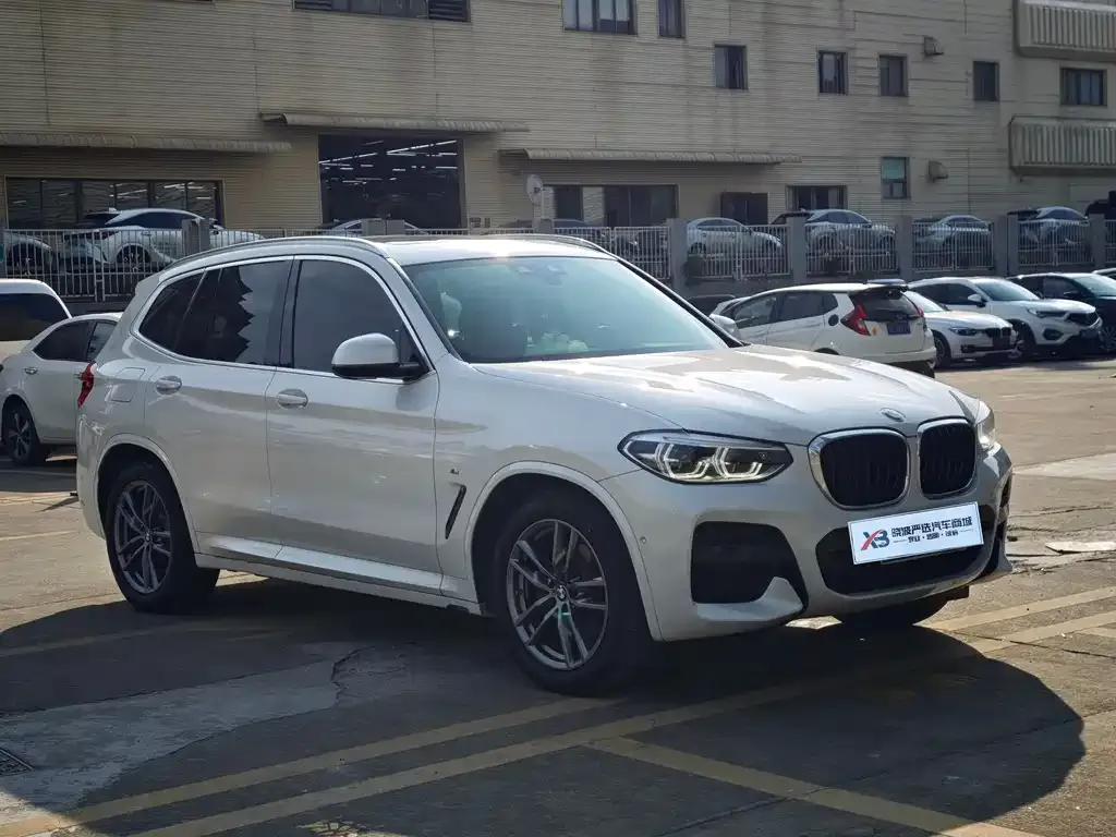 BMW X3 2021 из CN, фото 6