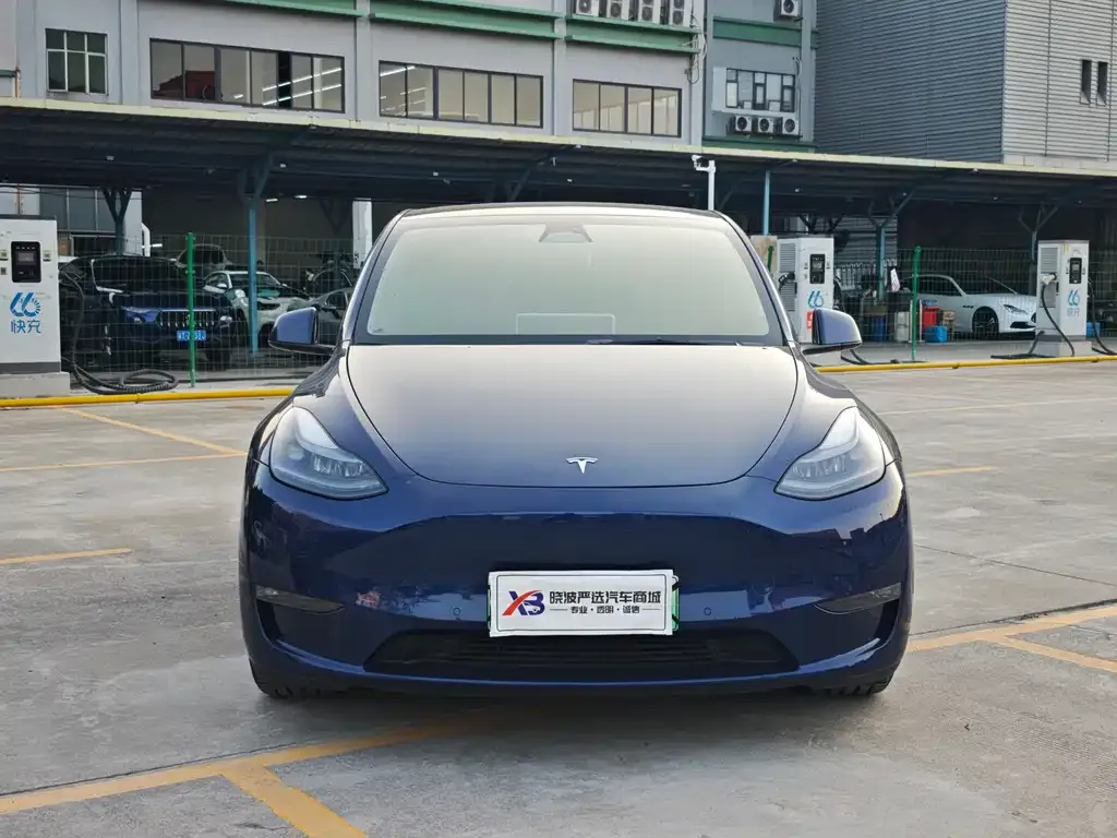 Tesla Model Y — фото 3