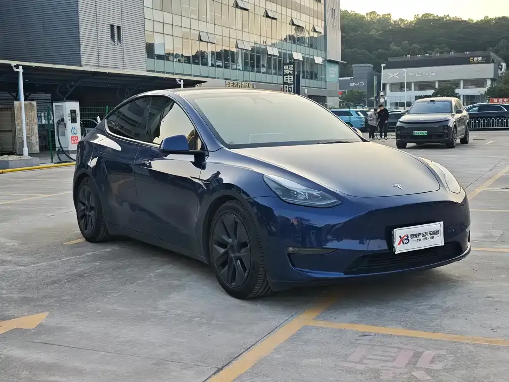 Tesla Model Y — фото 10
