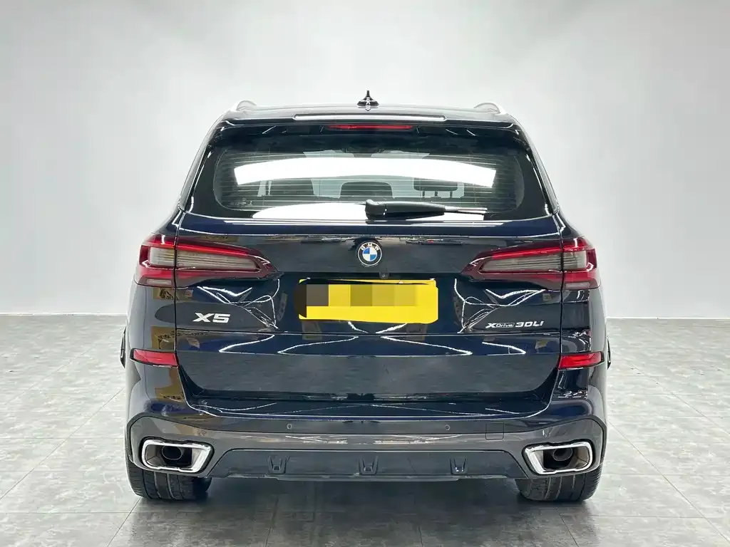 BMW X5 2023 из CN, фото 2