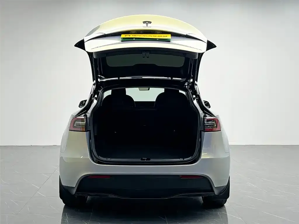 Tesla Model Y — фото 2