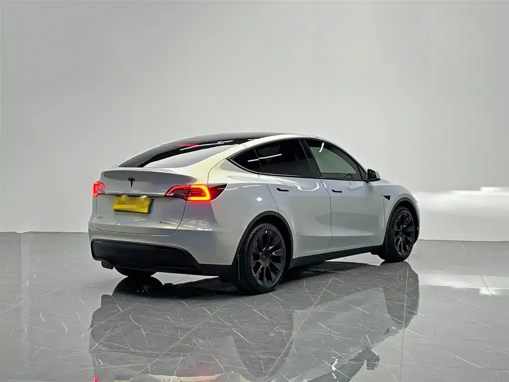 Tesla Model Y — фото 3