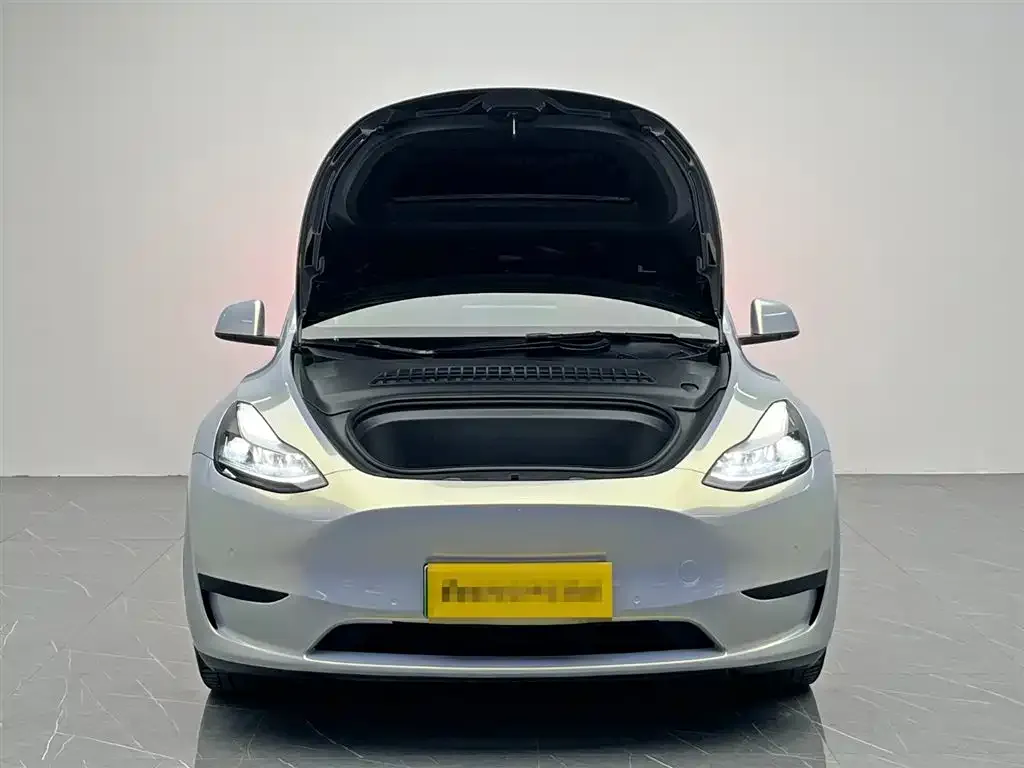Tesla Model Y — фото 10