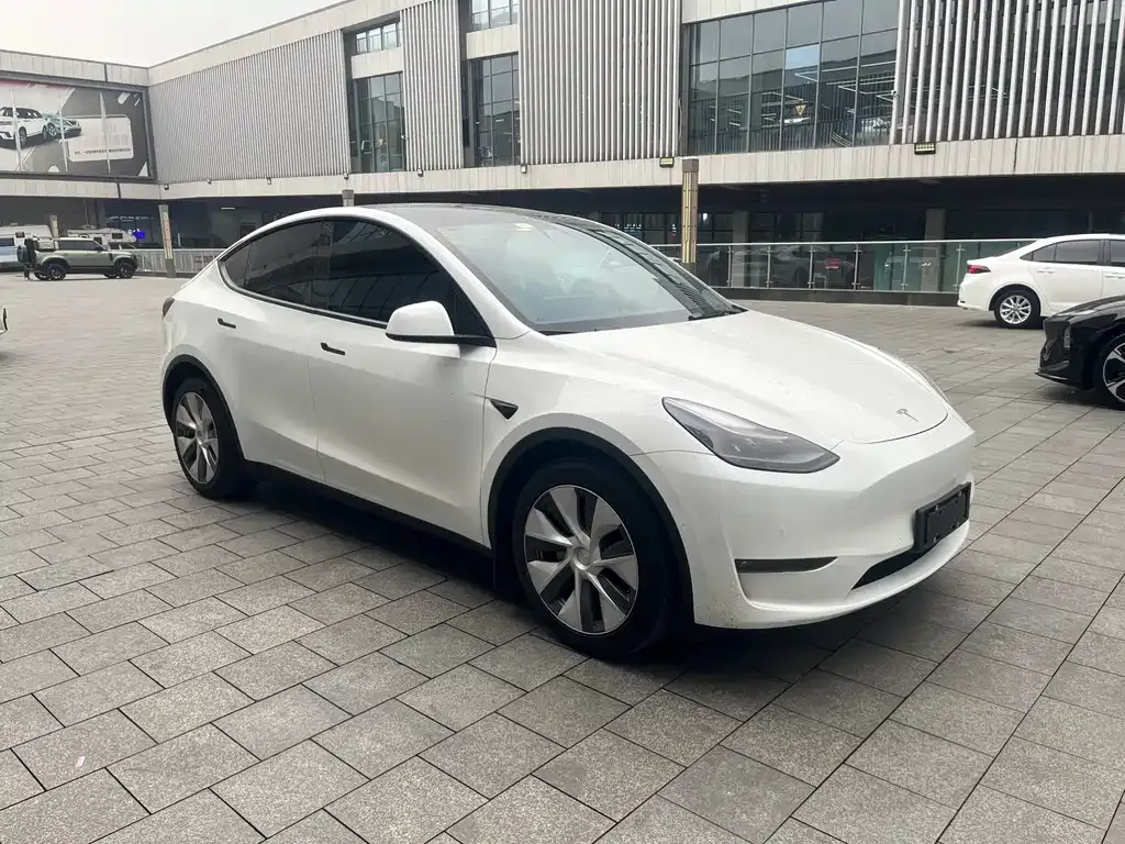 Tesla Model Y — фото 10