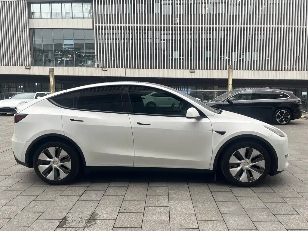 Tesla Model Y — фото 4