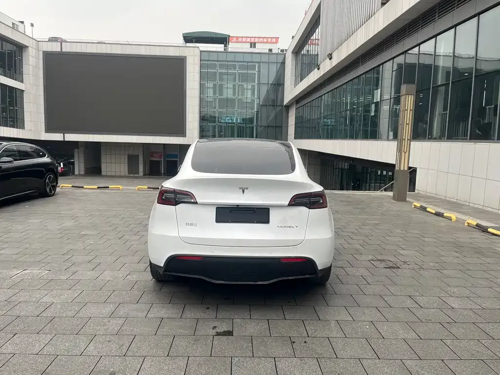Tesla Model Y — фото 2