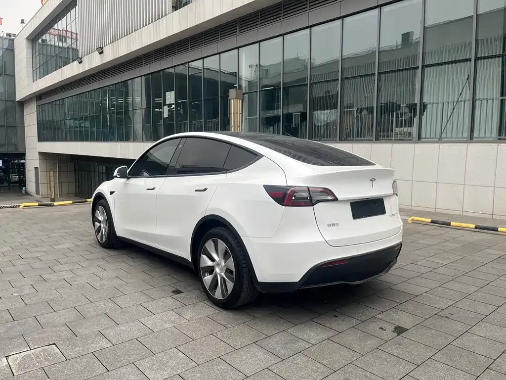 Tesla Model Y — фото 9