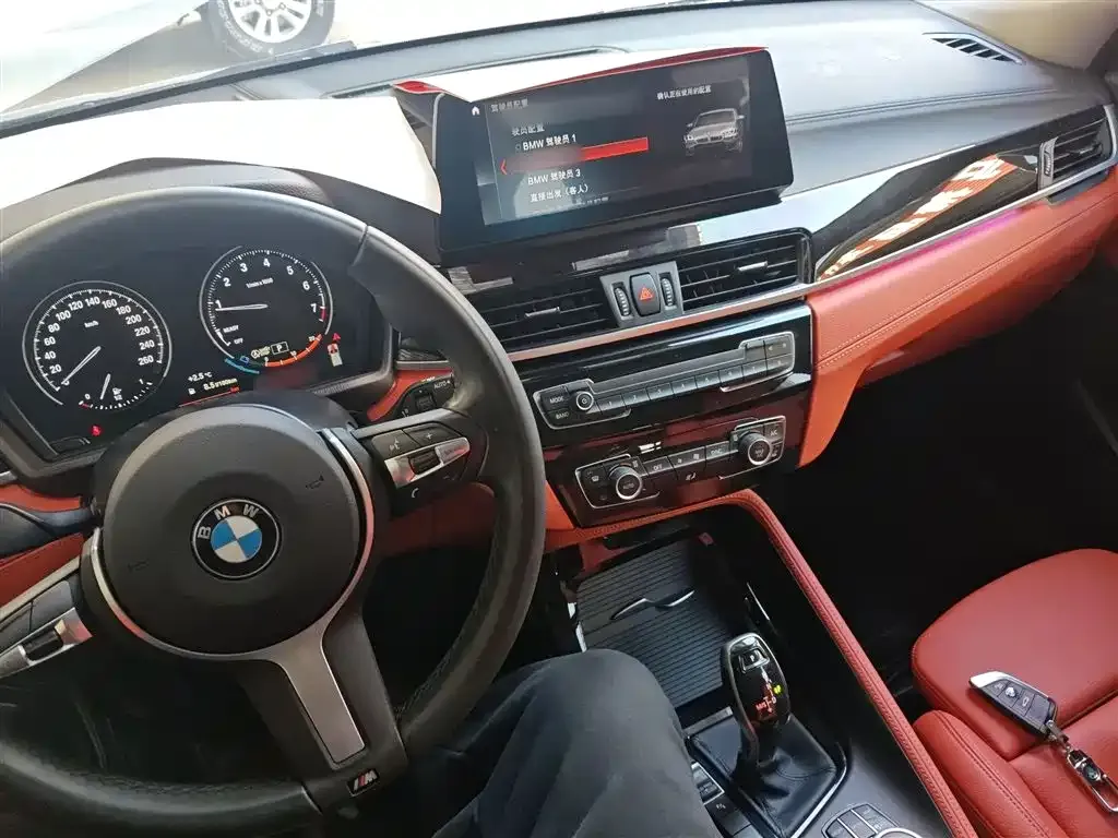 BMW X2 — фото 10