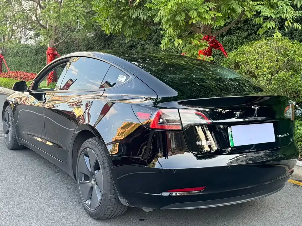 Tesla Model 3 2022 из CN, фото 6
