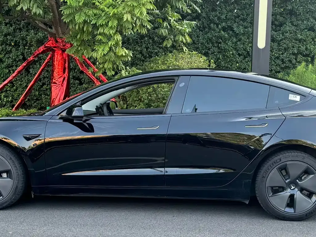 Tesla Model 3 2022 из CN, фото 8