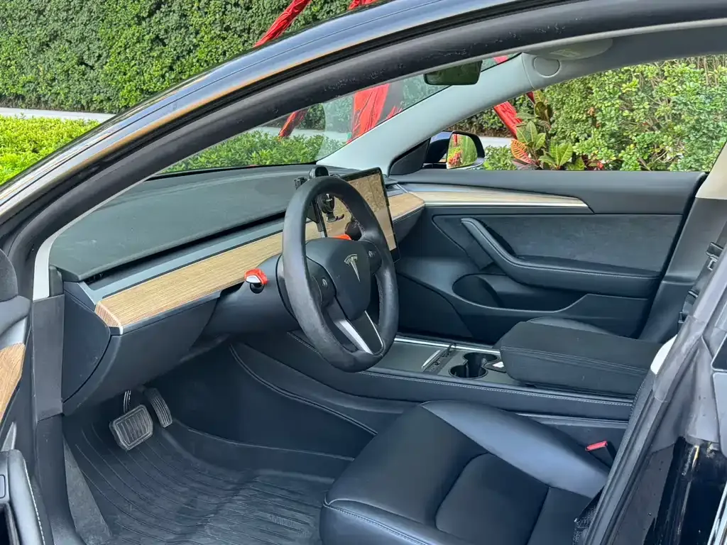 Tesla Model 3 2022 из CN, фото 9