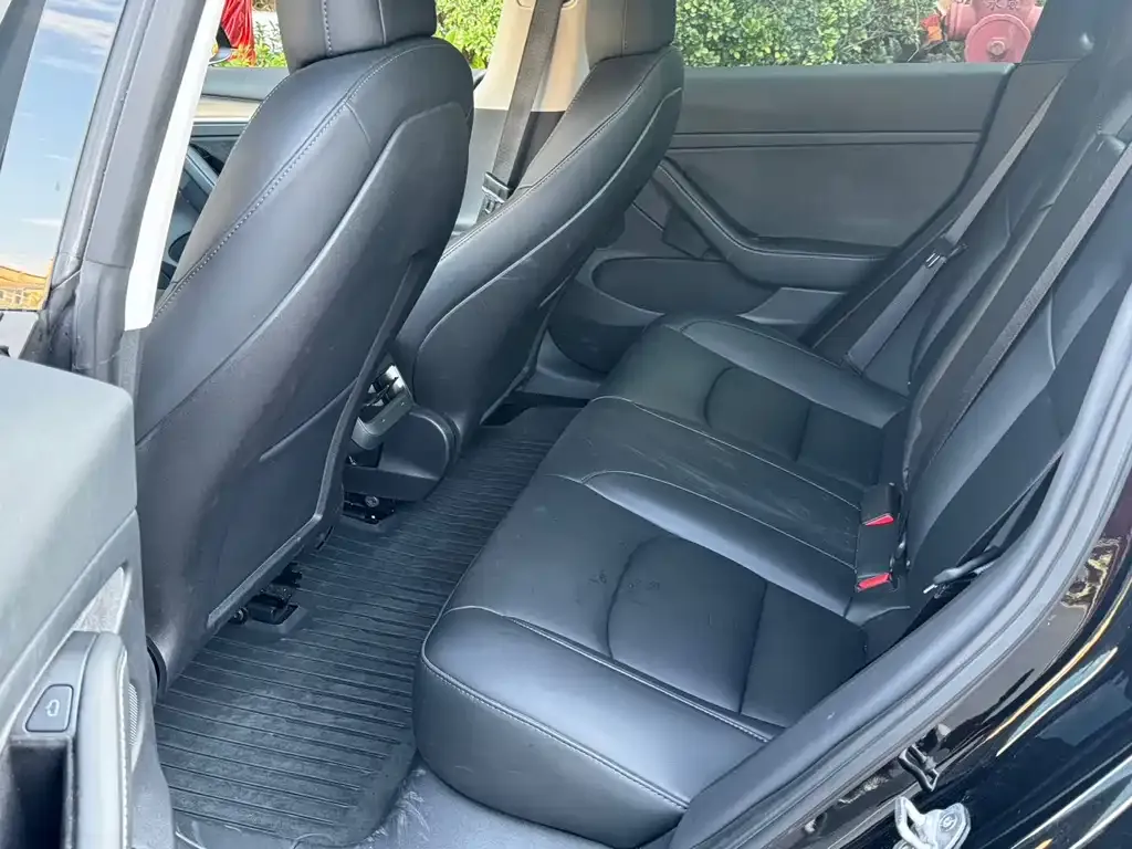 Tesla Model 3 2022 из CN, фото 4