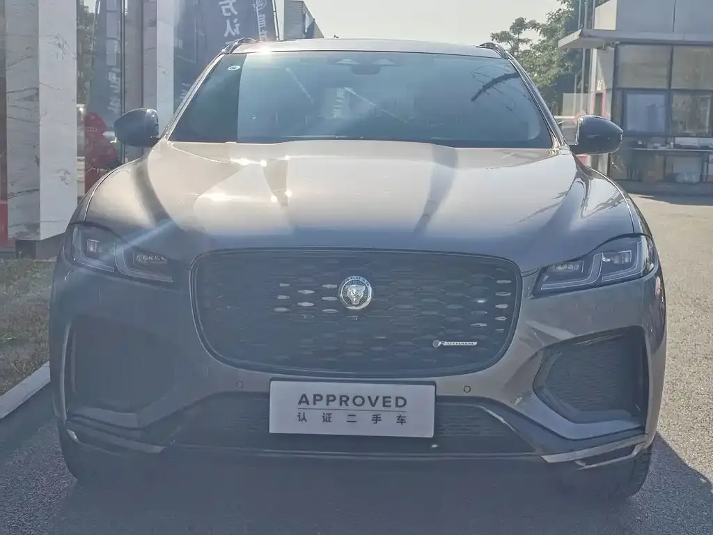 Jaguar F-PACE — фото 10