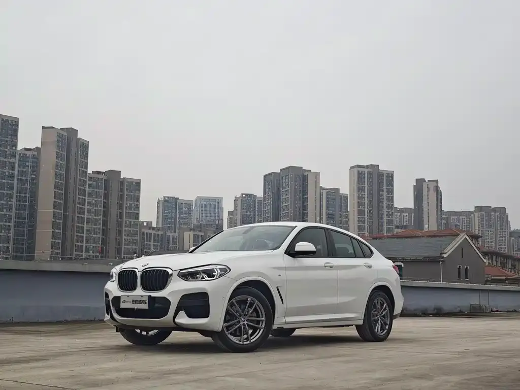 BMW X4 2021 из CN, фото 1