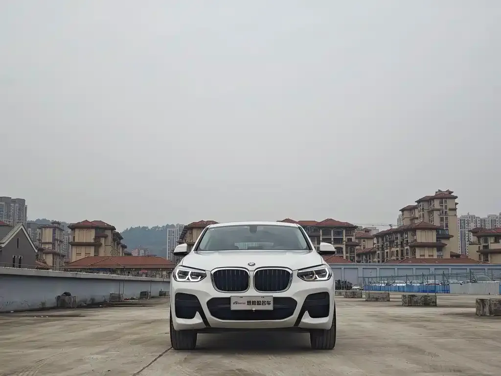 BMW X4 2021 из CN, фото 3