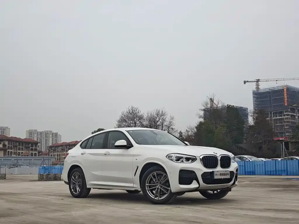 BMW X4 2021 из CN, фото 8