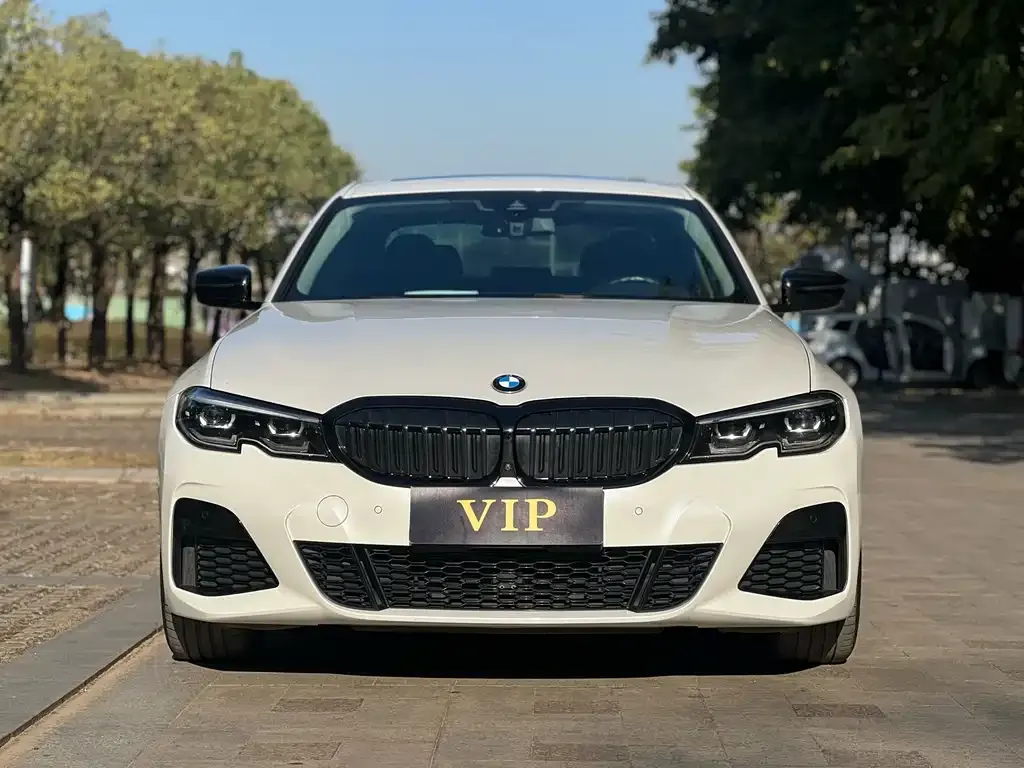 BMW 3 Series 2021 из CN, фото 9