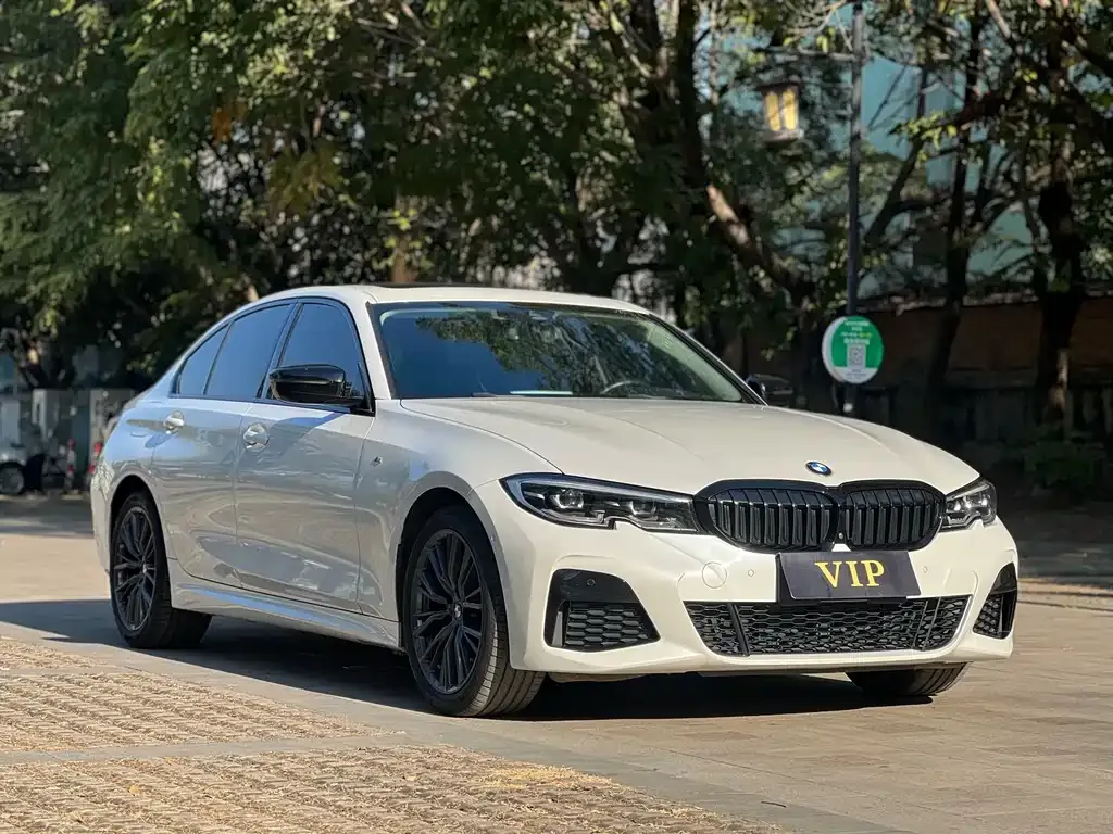 BMW 3 Series 2021 из CN, фото 3