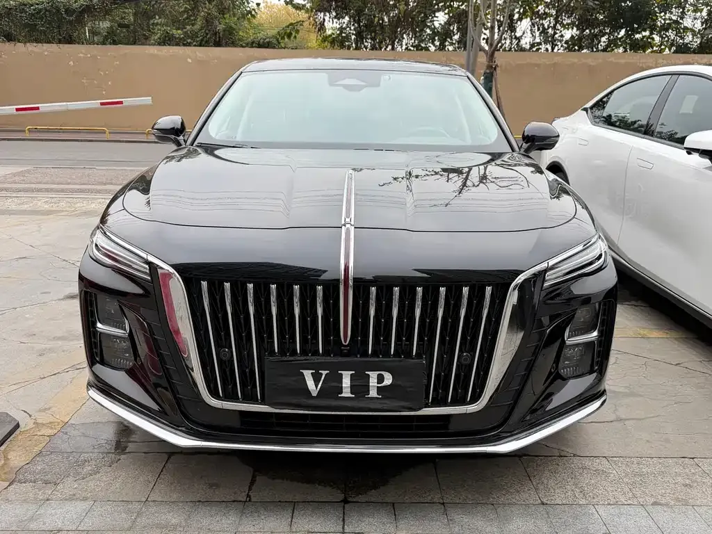 Hongqi H5 2023 из CN, фото 2