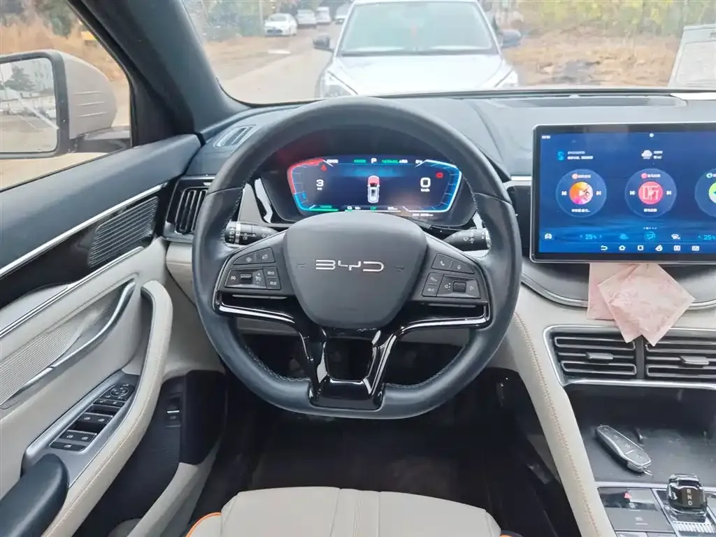BYD PLUS New Energy 2023 из CN, фото 2