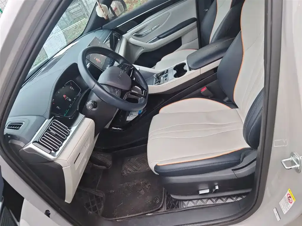 BYD PLUS New Energy 2023 из CN, фото 10