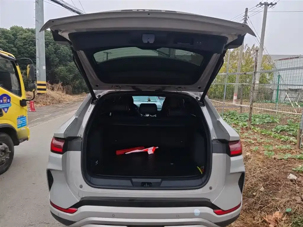 BYD PLUS New Energy 2023 из CN, фото 5