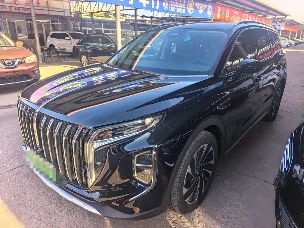 Hongqi HS7 2024 из CN, фото 1
