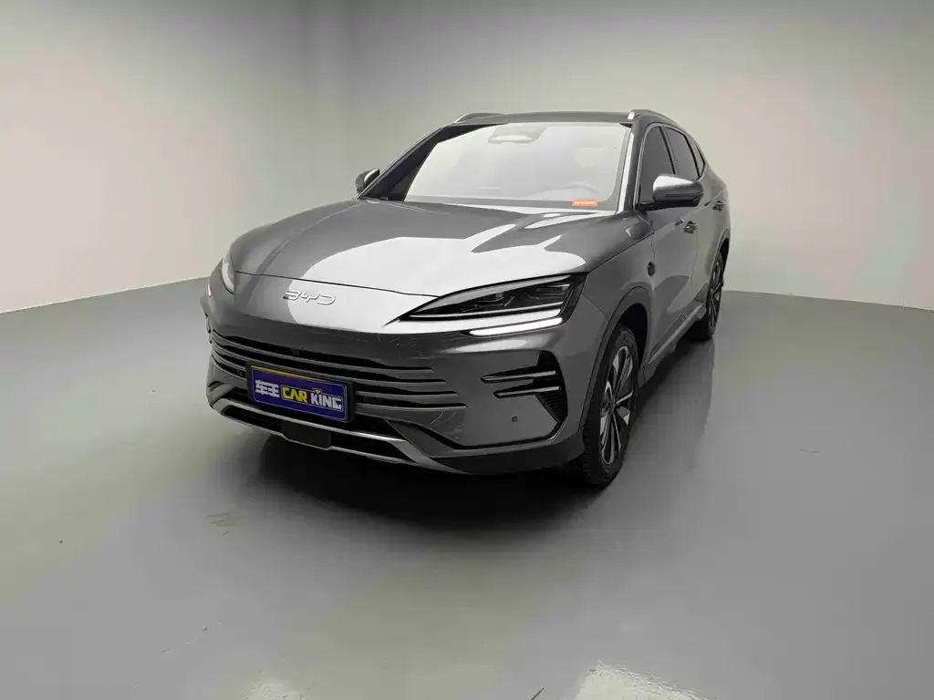 BYD PLUS New Energy 2025 из CN, фото 1