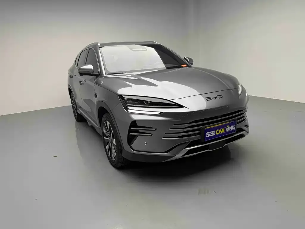 BYD PLUS New Energy 2025 из CN, фото 5