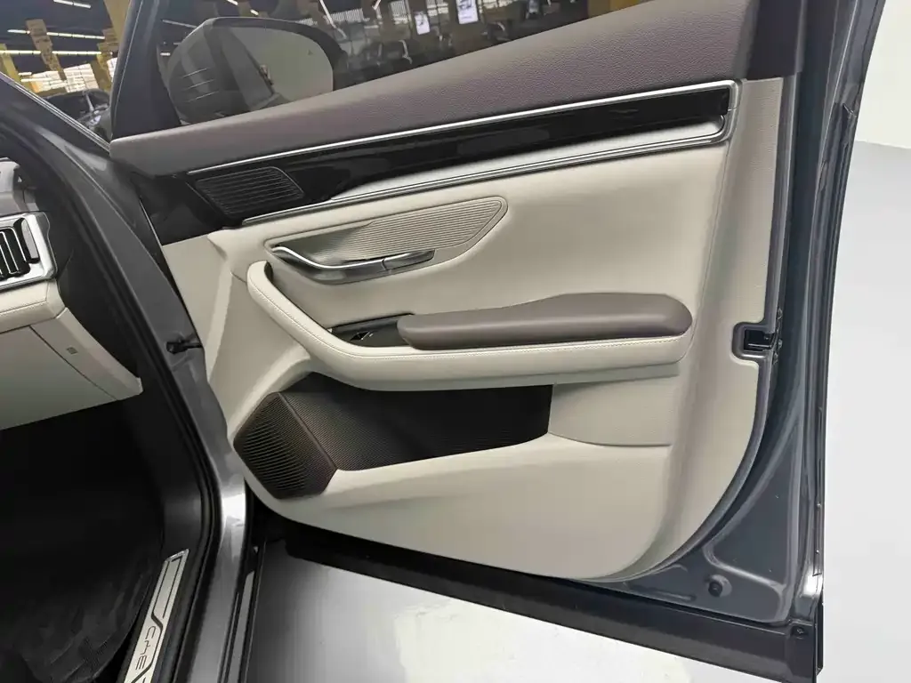 BYD PLUS New Energy 2025 из CN, фото 9