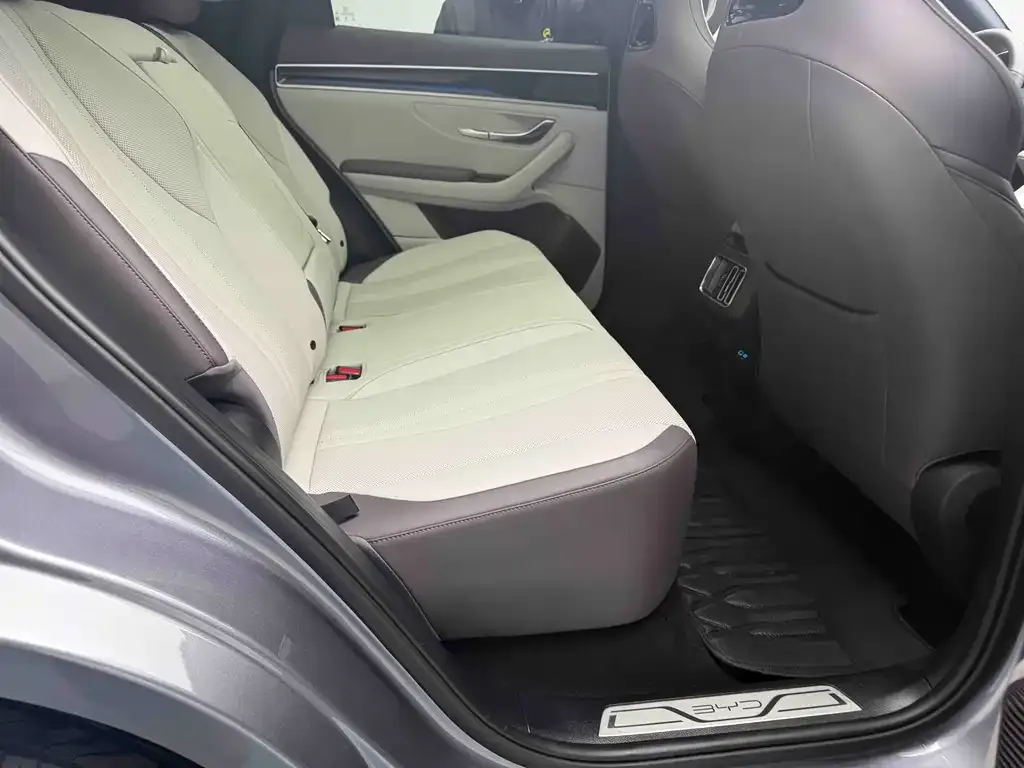 BYD PLUS New Energy 2025 из CN, фото 4