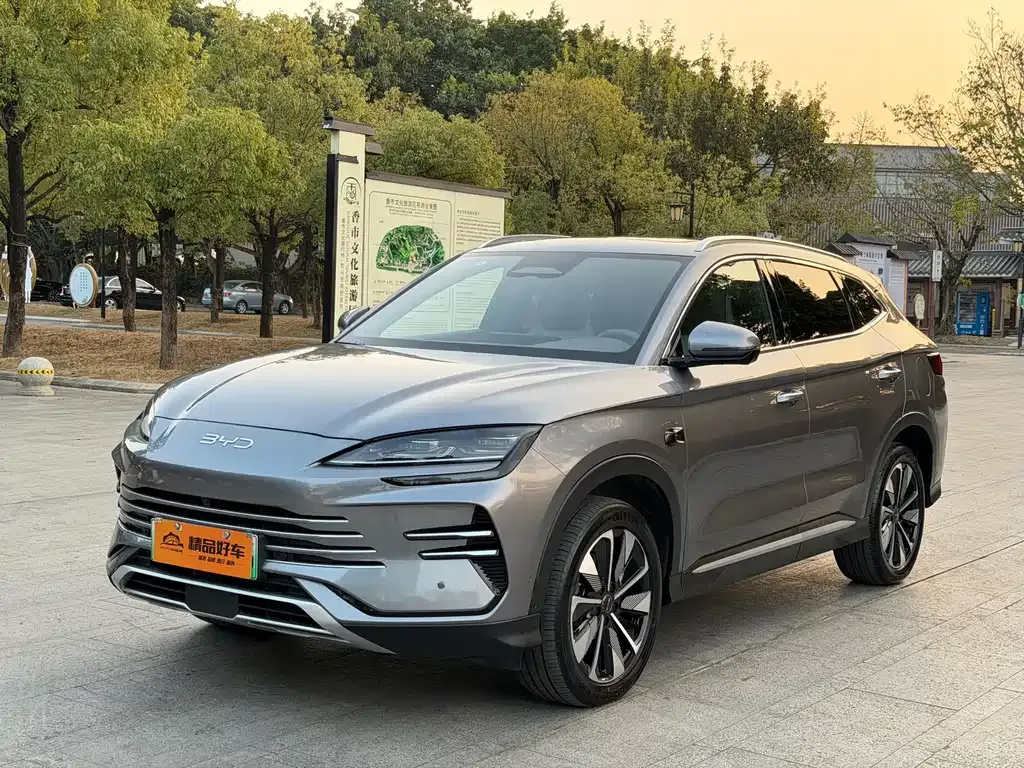 BYD PLUS New Energy 2025 из CN, фото 1