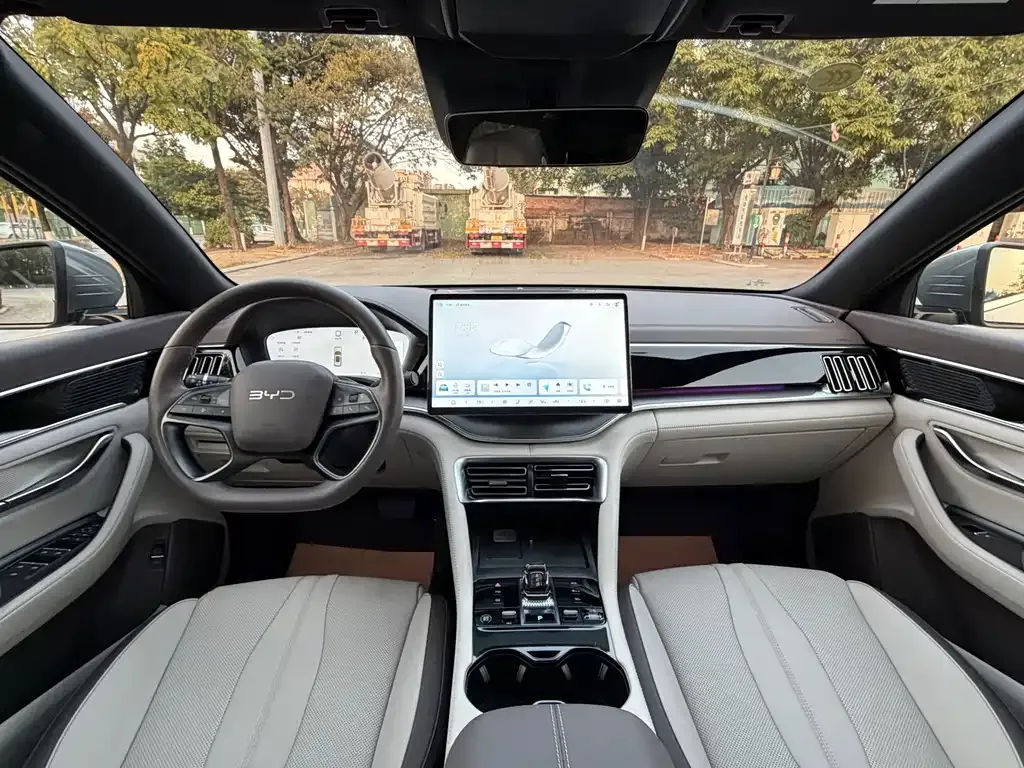 BYD PLUS New Energy 2025 из CN, фото 7