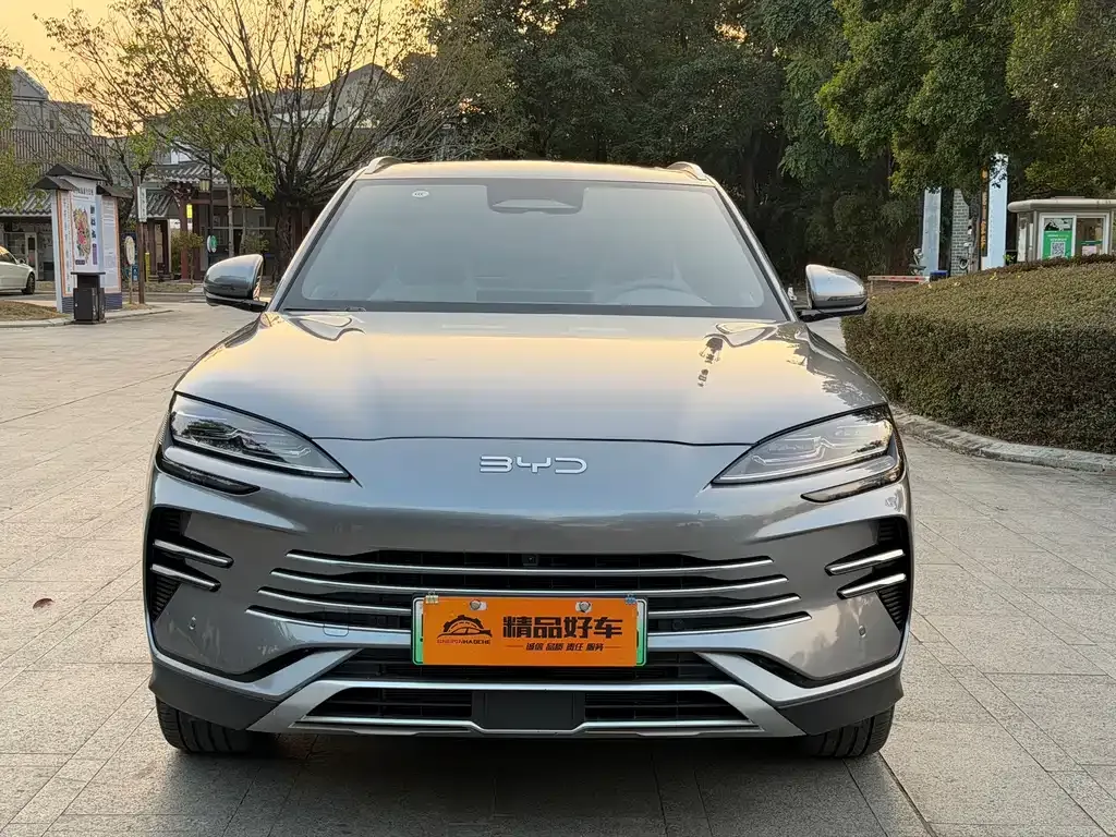 BYD PLUS New Energy 2025 из CN, фото 10