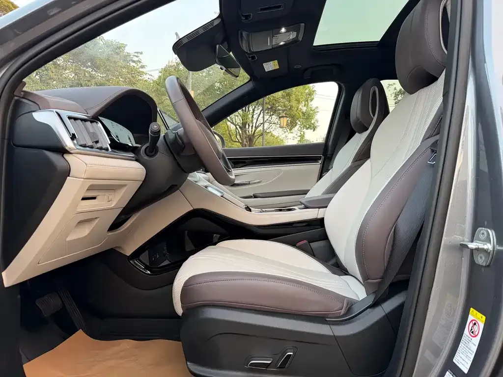 BYD PLUS New Energy 2025 из CN, фото 4