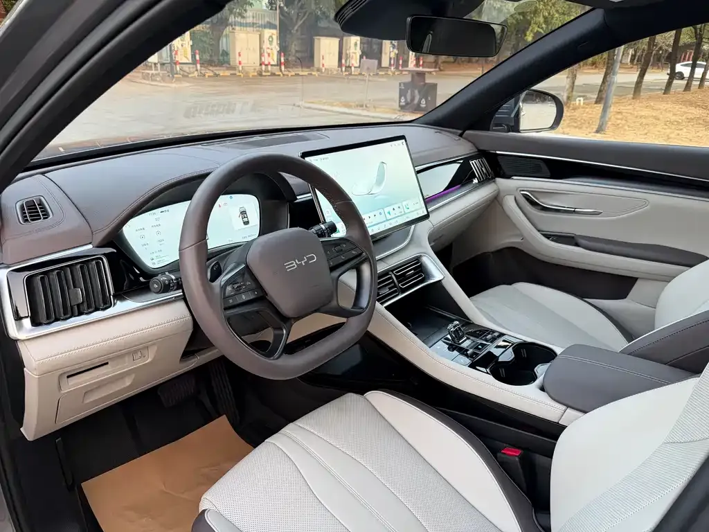 BYD PLUS New Energy 2025 из CN, фото 2