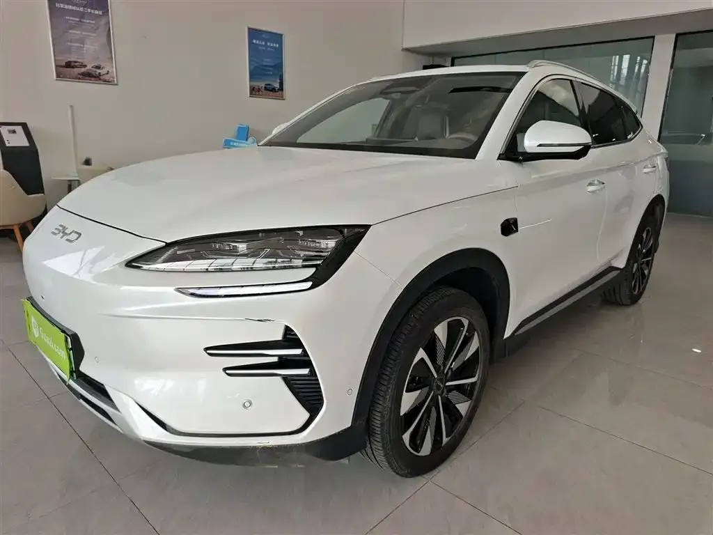 BYD PLUS New Energy 2025 из CN, фото 2