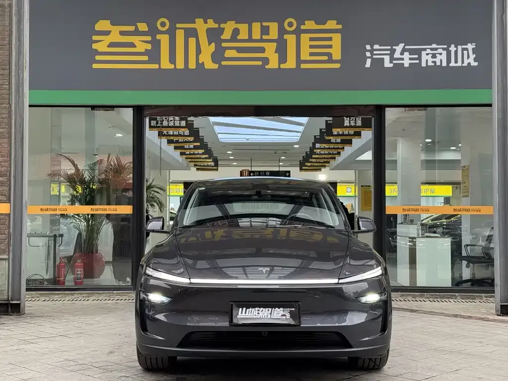 Tesla Model Y 2025 из CN, фото 4