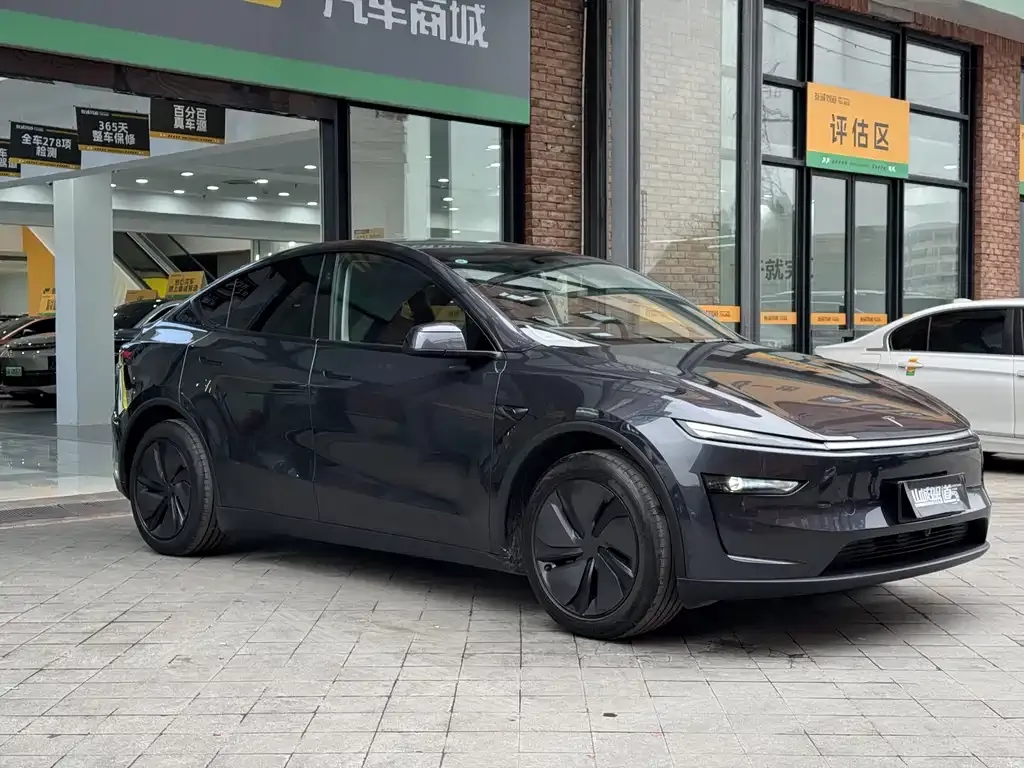 Tesla Model Y 2025 из CN, фото 5